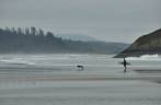 Surfista e seu cachorro enfrentam as águas geladas de praia em Tofino, na costa oeste de Vancouver Island, litoral da British Columbia, oeste do Canadá